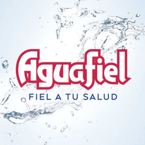 logo chileno